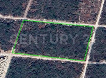 Terreno / Lote · 6000m² · Terreno en Venta Temozón Norte, Mérida.