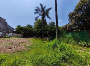 Terreno / Lote · Terreno - Vista Hermosa