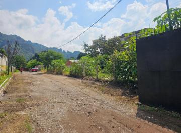 Vista de la privada sobre la Avenida · Tepoztlan Morelos, Terreno en Venta en El Barrio de Ixcatepec.