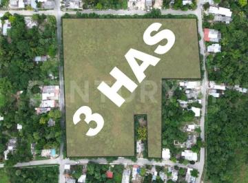 Terreno / Lote · 30000m² · Terreno en Venta en Motul de Carrillo Puerto, Yucatán
