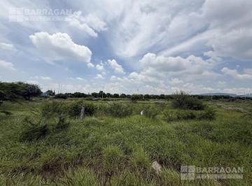 Terreno / Lote · 5306m² · Excelente Terreno en Renta en Fray Junipero Serra
