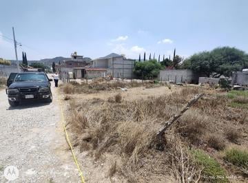 Terreno / Lote · 200m² · Terreno La Providencia El Tephe - (4)