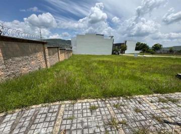 Terreno / Lote · 200m² · Terreno Parque Anahuac - (4)