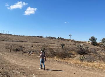 Terreno / Lote , Lagos de Moreno · Terreno en Venta, Pueblo Comanja de Corona, 19000 m²