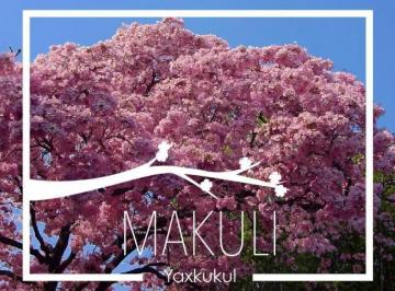 Terreno / Lote · 818m² · 2 Terrenos en Venta Privada Makuli Yaxkukul (Avt - 1251)