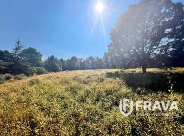 Terreno / Lote , Tapalpa · Venta de Terrenos en Praderas del Nogal, Tapalpa