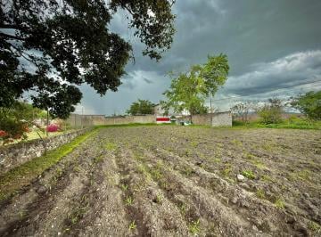 Terreno / Lote , Xochitepec · Terreno en Venta Alpuyeca