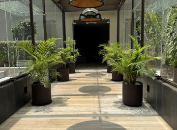 Departamento de 3 habitaciones, Alvaro Obregón · Departamento en Venta en San Angel