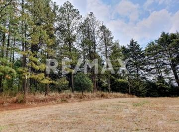Terreno / Lote · 33000m² · Terreno en Venta - (4)