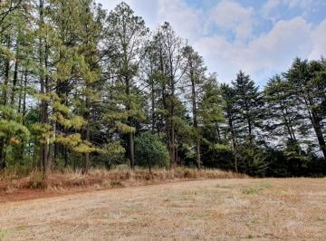Terreno / Lote · 33000m² · Terreno en Venta - (4)