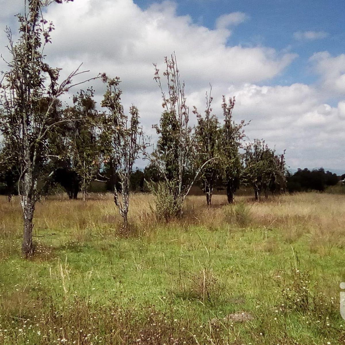 Land for Sale in San Salvador El Verde, Puebla, Mexico