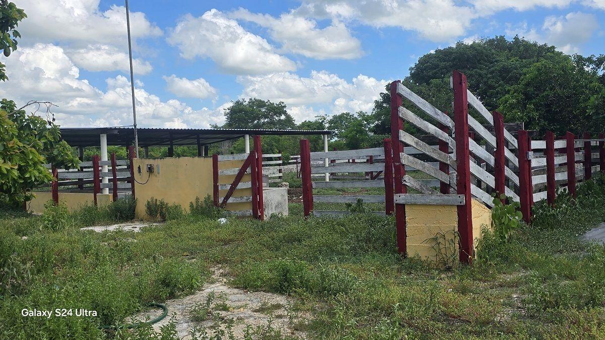 ¡Excelente Rancho en Venta, 59 Has! Tizimin, Yucatán.