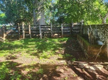 Corrales de manejo dentro del predio · Terreno en Venta, Excelente Opción, 70has, Valladolid, Yucatán.