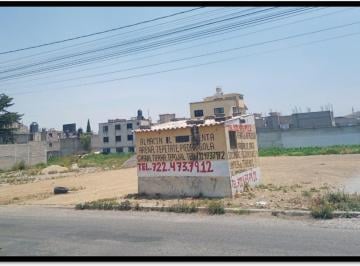 Terreno / Lote · Terreno en Renta en Calle Allende