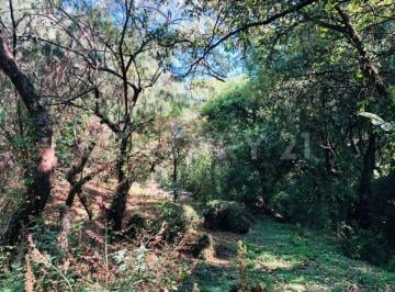 Terreno / Lote · 7215m² · Terreno Venta Cocuatla Tepoztlan San Juan Tlacotenco Ocotes Tepoztlan Morelos