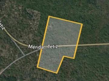 Terreno / Lote · 19394m² · Terrenos Sobre Carretera Mérida - Tetiz Ideal Para Desarrollo Industrial