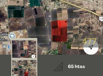 Terreno / Lote · 656000m² · Terreno en Venta en Timoteo Lozano