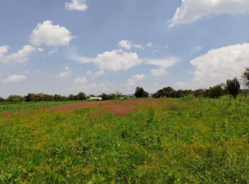 Terreno / Lote · 4630m² · Venta o Renta de Terreno en San Lorenzo Chiautzingo, Puebla