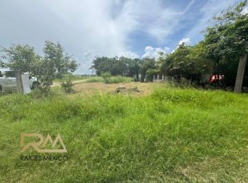 Terreno / Lote · 700m² · Terreno en Venta, Col. Altamira Sector 4