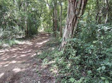 terreno con excelente vegetación, Monte muy alto · Terreno en Venta, 2 Ha Sin Construcciones, Valladolid - Temozon, Yuc.