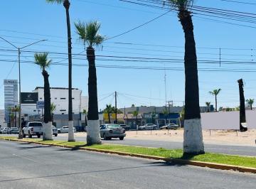 Terreno comercial · 450m² · Terreno Comercial en Renta - (4)