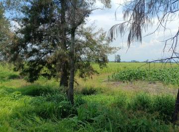 Terreno / Lote , Ameca · Terreno Agrícola en Venta en Ameca, Jalisco