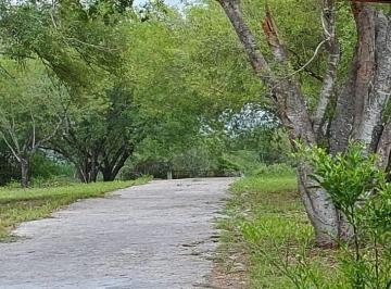 Terreno / Lote · 2416m² · Terreno en Montemorelos