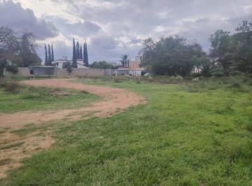 Terreno / Lote , San Agustín Yatareni · Terreno en Venta en San Agustin Yatareni