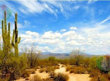 Rancho · 259890000ha · En Venta Rancho, 25,999 Has, en Pitiquito Sonora