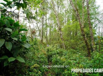 Terreno / Lote · 123951m² · Terreno Para Vivir o Invertir en Donde La Naturaleza Inspira