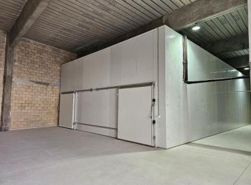 Bodega comercial , Benito Juárez · Bodega 465 m² con Camara Fria 170 m² en Renta en Parque Industrial con Seguridad por Av Colosio