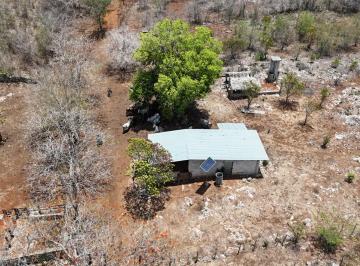 Terreno / Lote , Tekax · 200 Hectáreas Para Tu Sueño Rural: Rancho, Cultivo o Ecoturismo en Tekax
