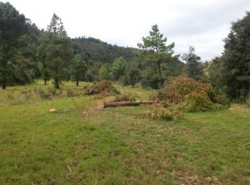 N/A · Terreno en Venta, Salazar I, Nicolas Romero