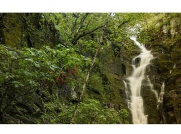 Terreno / Lote · 6415m² · Terreno en Venta, Sierra Mazati, Tapalpa Jalisco