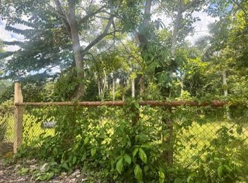 Terreno / Lote · 52000m² · Terreno en Venta Col Revolucion Verde, Poza Rica