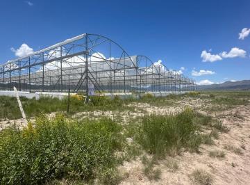 Terreno / Lote , Arteaga · Terreno en Venta en San Juanito de Los Valdez, Arteaga, Coahuila