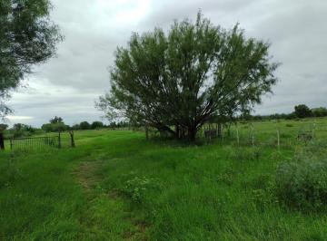 Terreno / Lote , Pesquería · Terreno en Venta La Arena Pesqueria
