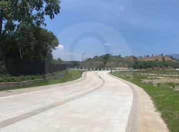 b351906b-9966-4d45-96d6-6558d93384d5.jpeg · Bosque de Ámbar: Terreno Residencial en Venta en Bosque Real