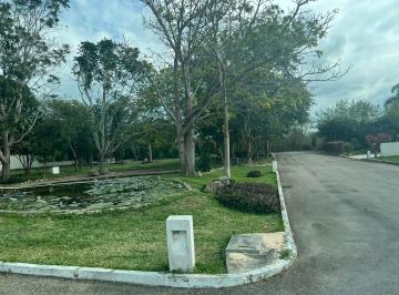 Terreno / Lote , Conkal · Terreno en Venta en Merida, Yucatan en Lirium, Conkal