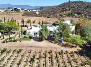 Rancho · 752m² · 15 Recámaras · Viñedo en Venta, Fco Zarco, Valle de Guadalupe, Ensenada, B. C.