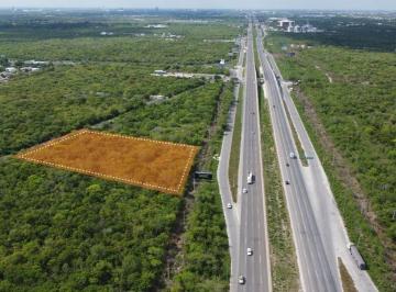 Terreno / Lote · 10000m² · Macro Lote en Carr Mérida - Progreso