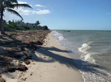 Terreno / Lote · 275m² · Terreno Venta Playa San Benito en Tercera Fila, Yucatan