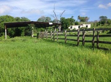 Rancho · 3000000m² · 1 Recámara · Vendo Rancho en Champoton, Campeche