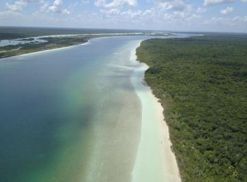 Terreno / Lote · 10000m² · Terreno en Bacalar