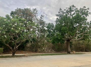 Terreno / Lote · 1165m² · Terreno en Venta, Xpokin, Yucatan Country Club
