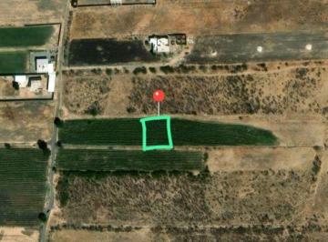 Terreno / Lote · 1000m² · Terreno en Venta - (4)