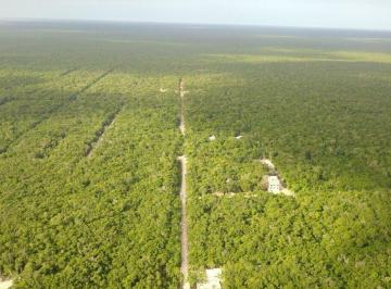 c9f59f701b648fef6a2ba89ea878f724a483c0165065dc3ab4bad87a03391dca · Lote en Venta, Esquina, Colindante con Av Quinta Tulum