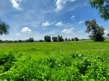 Terreno / Lote , Tecámac · Tecámac, Terreno Plano de 5 Hectáreas en Venta, Propio Para Desarrollador.