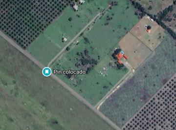 TERRENOS CAMPESTRES EJIDO EN EL FRAILE MONTEMORELOS N.L
$ 400mt2
LOTE # 8
2,196 · El Fraile, Montemorelos, N. L.