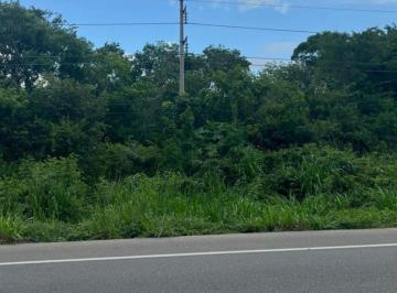 Terreno / Lote · 24000m² · Terreno en Venta en Temozon Yucatan 24 Hectáreas